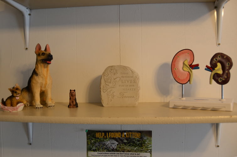 Mt_Carroll_Veterinary_Clinic_17