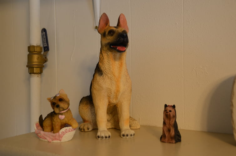 Mt_Carroll_Veterinary_Clinic_18