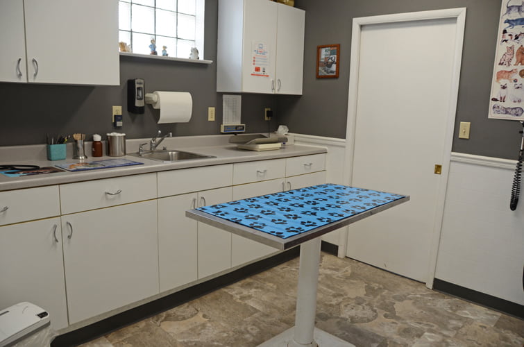 Mt_Carroll_Veterinary_Clinic_22