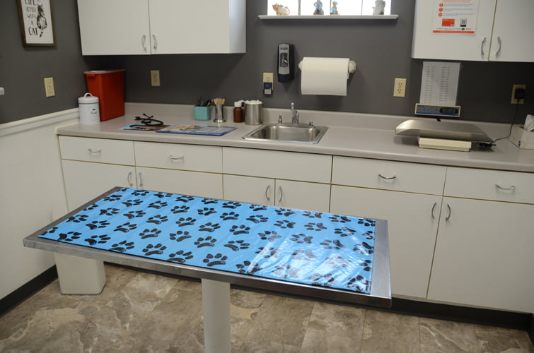 Mt_Carroll_Veterinary_Clinic_25