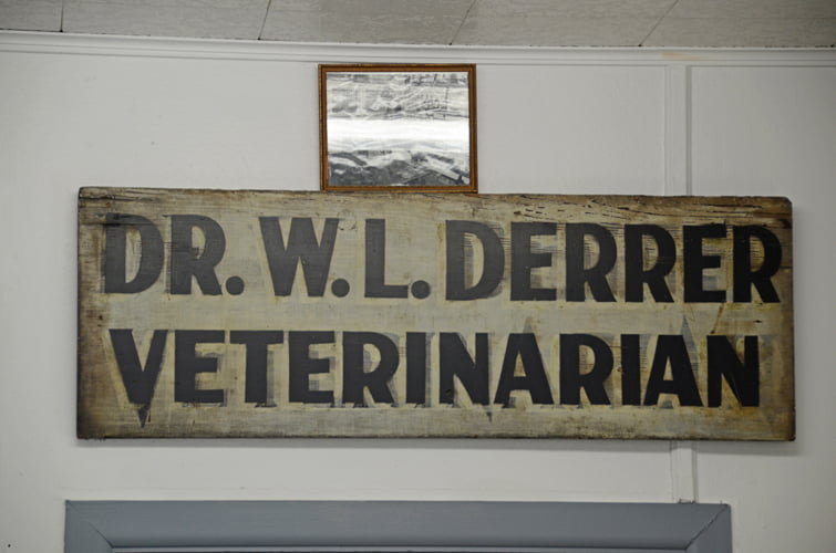 Mt_Carroll_Veterinary_Clinic_34