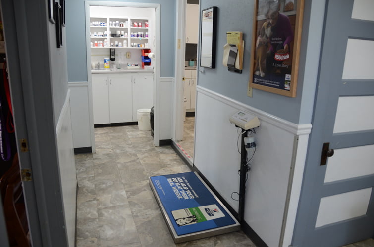 Mt_Carroll_Veterinary_Clinic_36